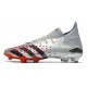 adidas Predator Freak.1 FG Argento Metallico Nero Core Scarlatto