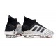 Scarpe da Calcio adidas Predator 19+ FG Argento Nero