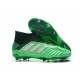 Scarpe da Calcio adidas Predator 19+ FG Verde Argento