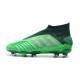 Scarpe da Calcio adidas Predator 19+ FG Verde Argento