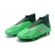 Scarpe da Calcio adidas Predator 19+ FG Verde Argento