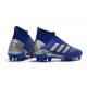 Scarpe da Calcio adidas Predator 19+ FG Blu Argento