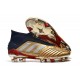 Scarpe da Calcio adidas Predator 19+ FG Oro Rosso Argento