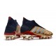 Scarpe da Calcio adidas Predator 19+ FG Oro Rosso Argento