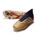 Scarpe da Calcio adidas Predator 19+ FG Oro Rosso Argento