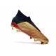 Scarpe da Calcio adidas Predator 19+ FG Oro Rosso Argento