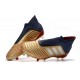 Scarpe da Calcio adidas Predator 19+ FG Oro Rosso Argento