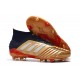 Scarpe da calcio adidas Predator 19.1 FG Oro Argento Rosso