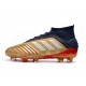 Scarpe da calcio adidas Predator 19.1 FG Oro Argento Rosso