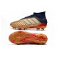 Scarpe da calcio adidas Predator 19.1 FG Oro Argento Rosso