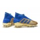 Scarpe da Calcio adidas Predator 19+ FG Oro Blu